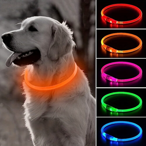Stay Safe at Night with a USB Charge Glowing Collar – Adjustable and Bright for Maximum Visibility